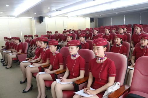 泉州与招远 成人高考高起专学校选择指南