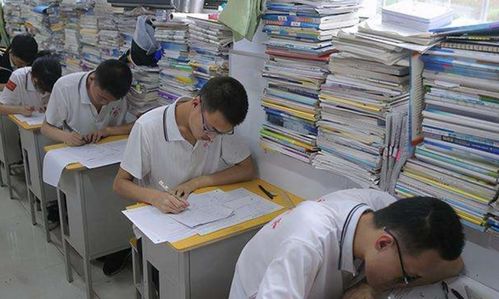 考场“黑马”非偶然，招远成人高考中那些不输学霸的逆袭者