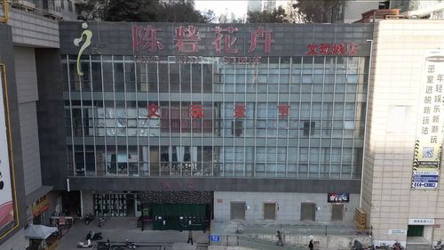实探即将闭店的花卉市场 市民趁商家甩卖 提前购置春节用品